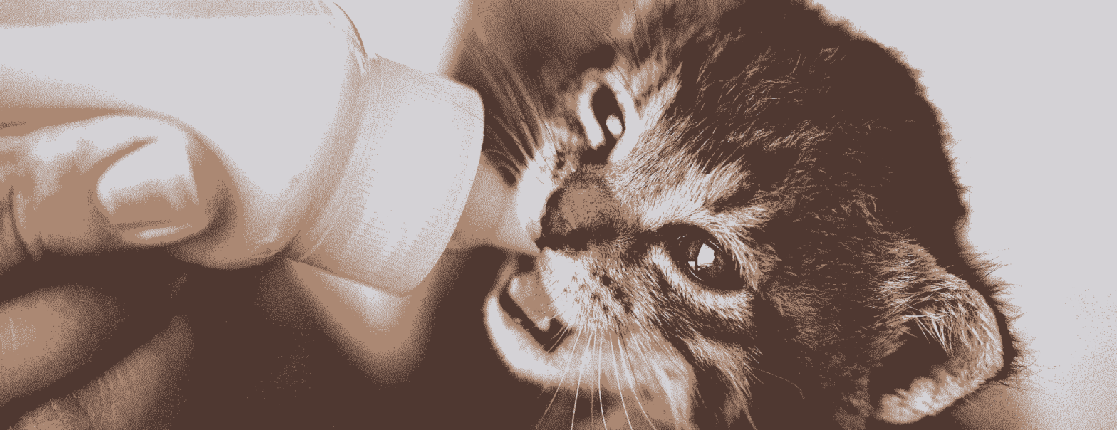 image 1920x740 21